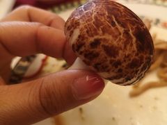 -民族饭店-四季餐厅