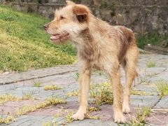-南京金牛湖风景区