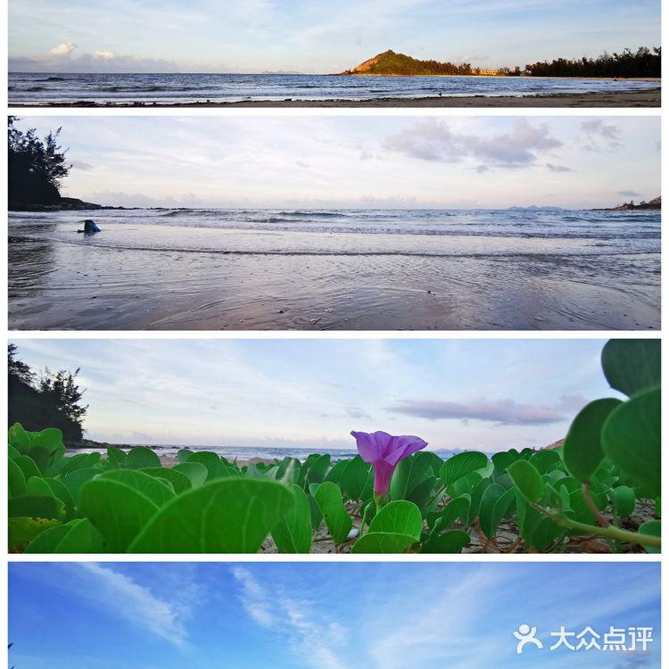 惠州碧海湾露营基地露营烧烤踏浪数星星