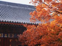 -香山公园