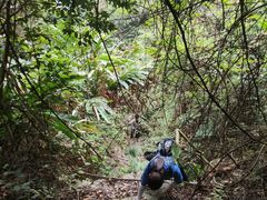 -梧桐山风景名胜区
