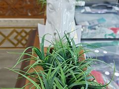 -诺敏塔拉奶茶-布里亚特包子-手把肉(锦都会店)