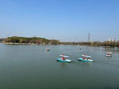 -昆山城市生态森林公园