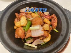 金不换浓香鸡煲-太兴餐厅(东方广场分店)