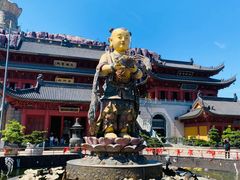 -上海东林寺(金山区)