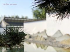 -苏州博物馆