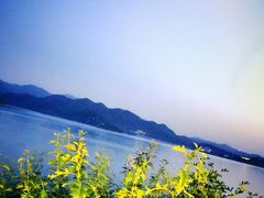 -望湖烤鱼