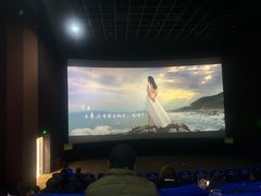 -幸福蓝海国际影城(崇安寺T12店)