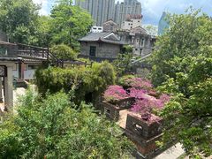 -东莞市可园博物馆