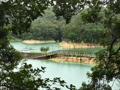 -广州市流溪河国家森林公园
