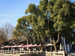 -巡塘古镇