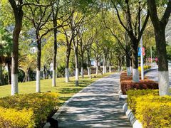 -厦门国家会计学院