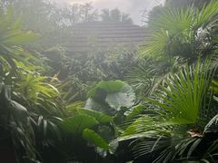 -融汇温泉