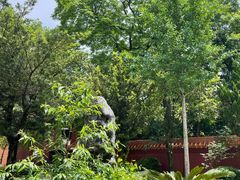 -南岳衡山风景名胜区-南岳大庙