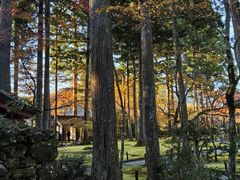 -三千院