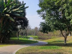 -白鹭湾湿地公园