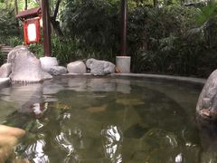 -青城道汤池