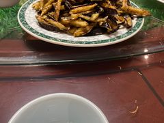 -宾朋海鲜特色美食餐厅·纯手工鲅鱼水饺(兴海路店)