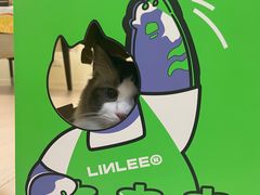 -LINLEE林里·手打柠檬茶(黄浦茂名南路店)