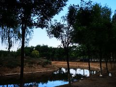 -东郊湿地公园