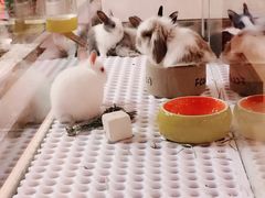 -开元商城(西旺店)