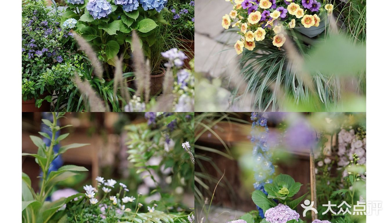 春天开在了花里花俏的地方💐