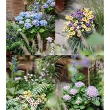 春天开在了花里花俏的地方💐