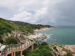 -广东惠东海龟国家级自然保护区