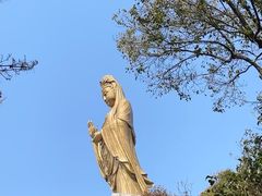 -普陀山风景名胜区-法雨禅寺