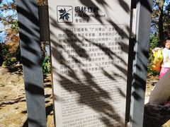 -广州市石门国家森林公园