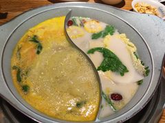 -青瓷火锅料理(西单大悦城店)