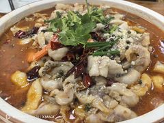 麻辣海鲜烩-无招牌