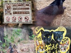 -红山森林动物园