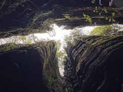 -梭布垭石林景区