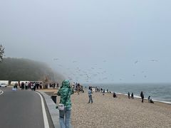 -棒棰岛宾馆景区