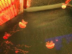 -多彩贵州城极地海洋世界