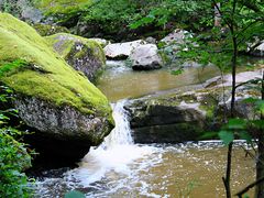 -茅兰沟国家森林公园