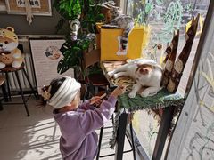 -平行世界·猫咖(首经贸店)
