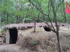 -龙道沟景区