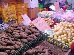 -五里多农博广场