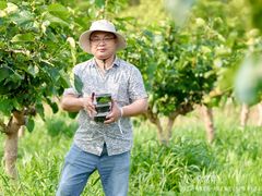 -上海德星奔驰(江杨南路店)