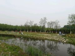-东郊湿地公园