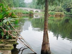 -重庆彩云湖湿地公园