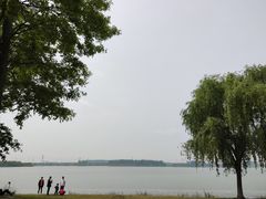 -漕湖湿地公园