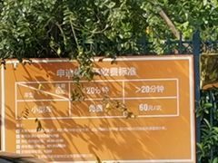 -迪士尼乐园停车场
