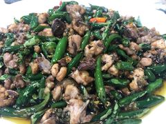 -陈有良尖椒鸡(渝中旗舰店)