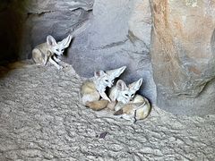 -长鹿旅游休博园