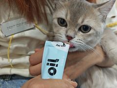 -瑞鹏宠物医院·爱宠堂·骨外专科(西荷分院)