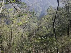 -明堂山风景区