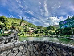 -石排湾郊野公园